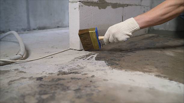 24/7 Emergency Wet Basement Repair experts in Hoffman Estates, IL